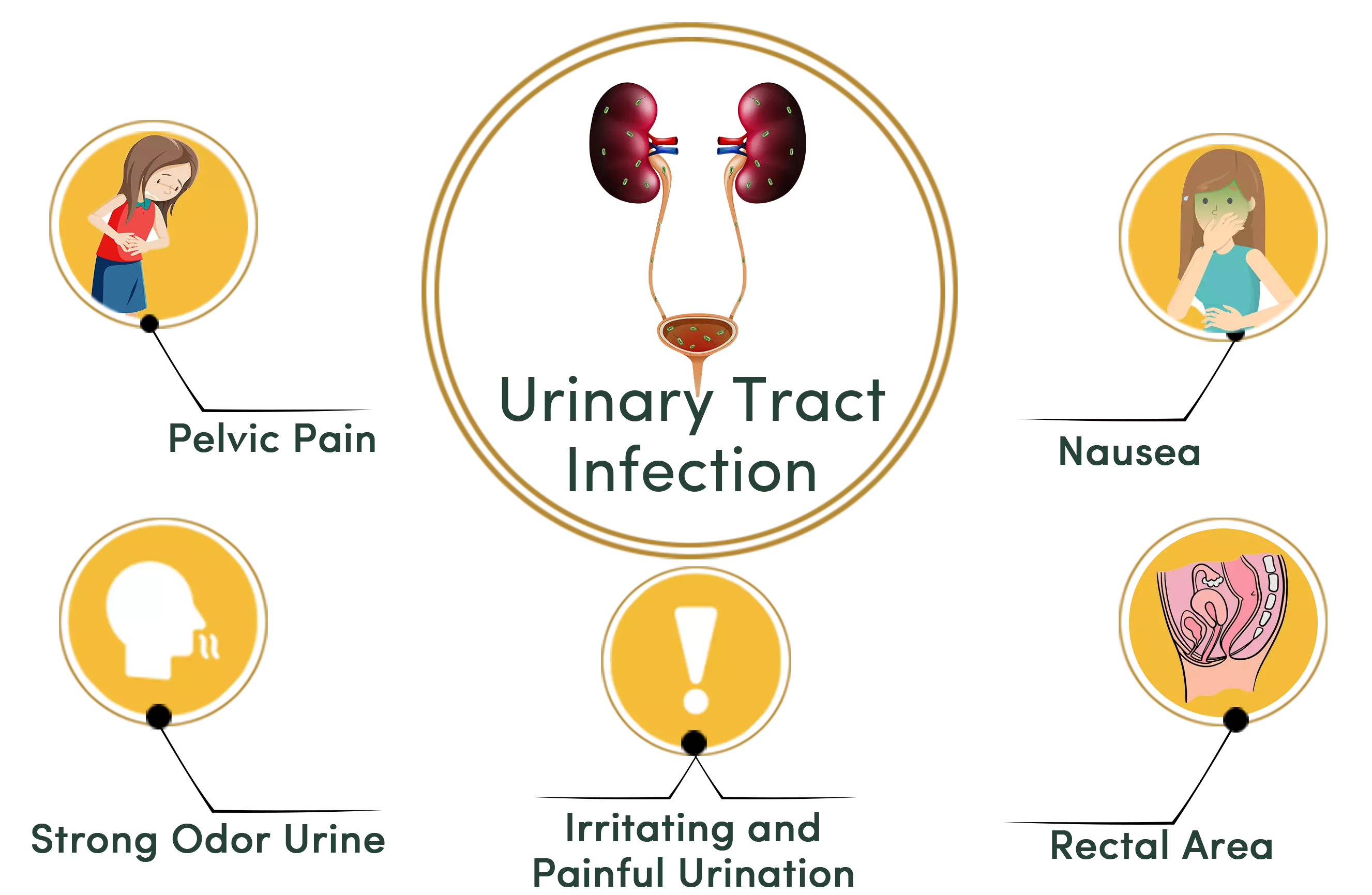 Urinary Tract Infection symptoms infographic
