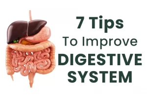 7 Effective Tips to Improve Digestive System