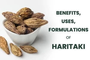 Haritaki: Benefits, Uses, Formulations, and Side Effects