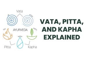 What Are the Ayurveda Doshas? Vata, Pitta, and Kapha Explained