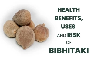 Health Benefits, Uses and Risks of Bibhitaki