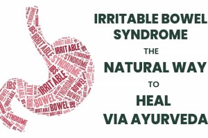 Irritable Bowel Syndrome-U: The Natural Way to Heal via Ayurveda